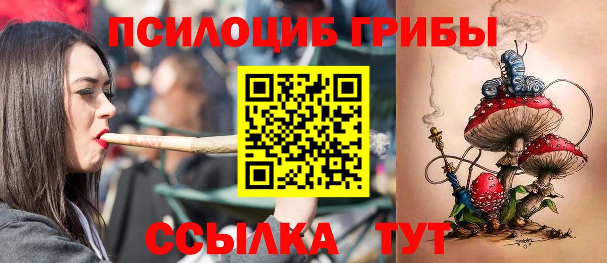 Людиново  Псилоцибиновые грибы Psilocybine cubensis  Псилоцибиновые грибы Magic Shrooms  Вход с VPN 