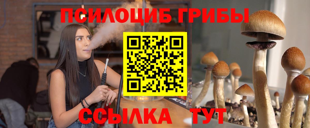 Псилоцибиновые грибы мицелий Людиново